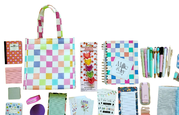 Bright Bookish Bundle: Pastel Checkered Stationery Set, Lunch Bag, Journal